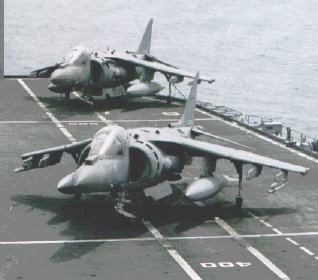 harrier2.jpg (72402 byte)